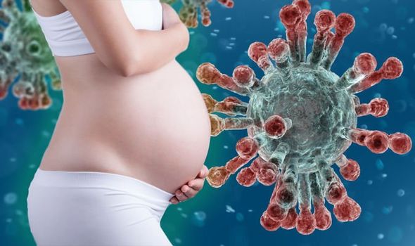 Coronavirus not transmitted from mother to newborn, says gynaecologist