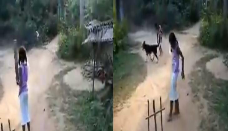 viral video