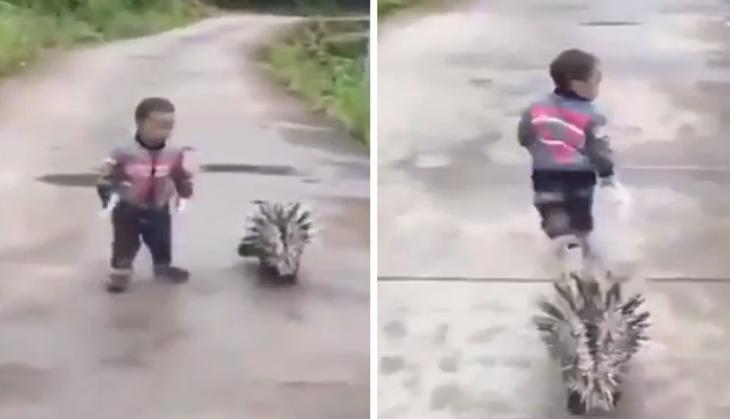 viral video