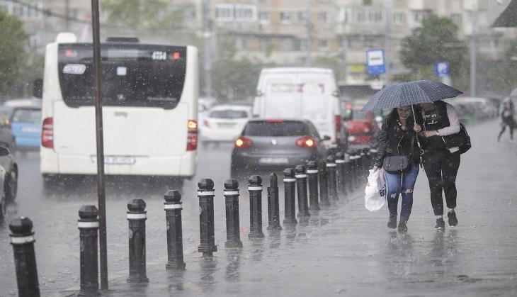 Rain