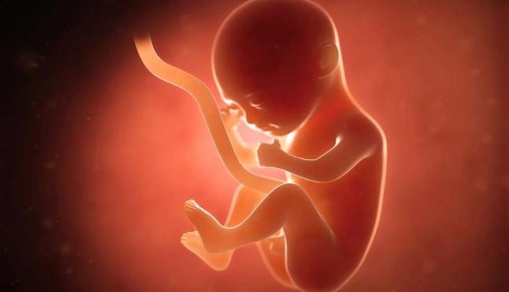 Chennai Horror: Man tries to remove foetus from girlfriend’s womb by watching YouTube videos