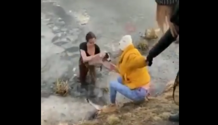 Watch how this brave woman risks her life to rescue dog from icy pond