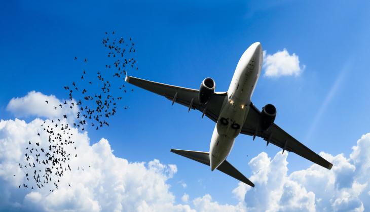 Coronavirus Lockdown: All domestic and international flights suspended till May 3