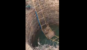 IFS officer shares unique rescue video of leopard who falls into deep well; video goes viral