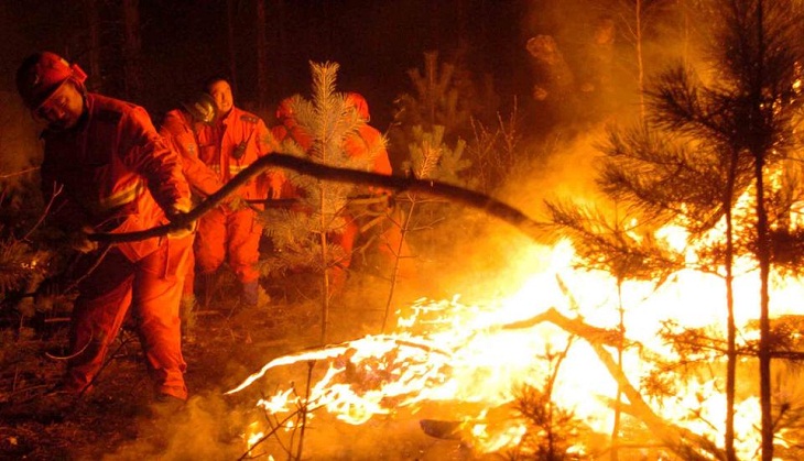 China: 19 people killed in forest fire