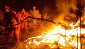 China: 19 people killed in forest fire