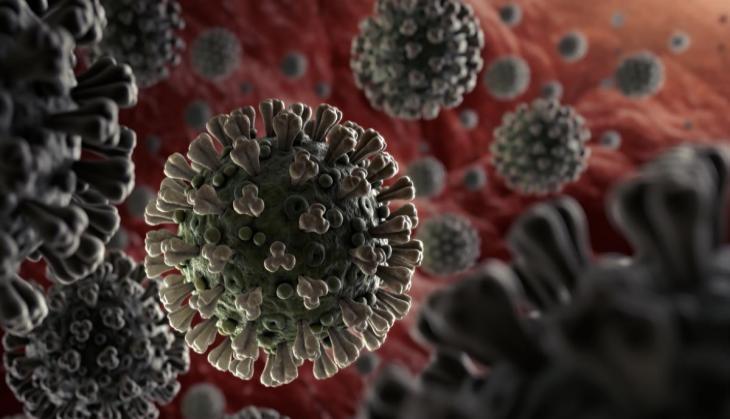 Coronavirus