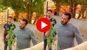 Salman Khan enjoys eating 'grass' with love amid lockdown; shares cute video