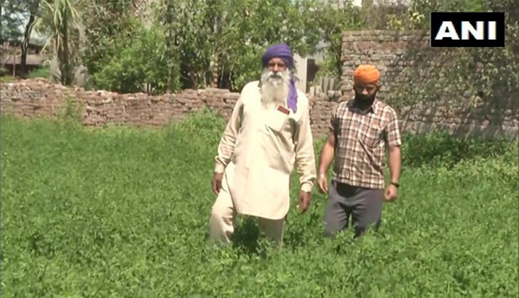 Punjab Lockdown: With no labourers, farmers in Ludhiana call for govt's help