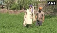 Punjab Lockdown: With no labourers, farmers in Ludhiana call for govt's help