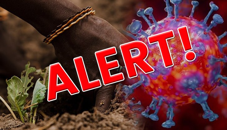 UN issues warning on global food supply amid coronavirus outbreak; important details to know