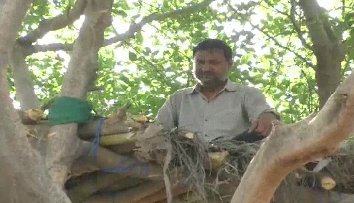 UP man builds treehouse to keep himself in seclusion amid COVID-19 outbreak
