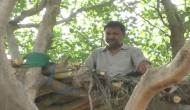 UP man builds treehouse to keep himself in seclusion amid COVID-19 outbreak