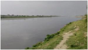 DPCC: Amid lockdown Yamuna's water quality improves to lesser effluents, increase fresh water