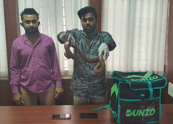 Bengaluru: CCB arrested two persons for trying to sell two headed snake