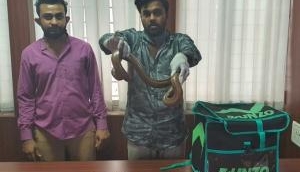 Bengaluru: CCB arrested two persons for trying to sell two headed snake