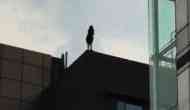 Mumbai: Woman jumps off terrace with 6-year-old daughter, both die