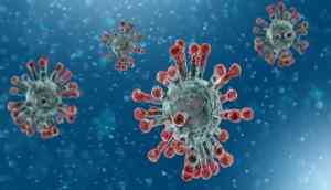 6 dead in North Korea, after country announces first COVID-19 outbreak