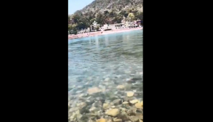 Lockdown positive impact on Environment: IFS shares video of clear blue Ganga in Rishikesh