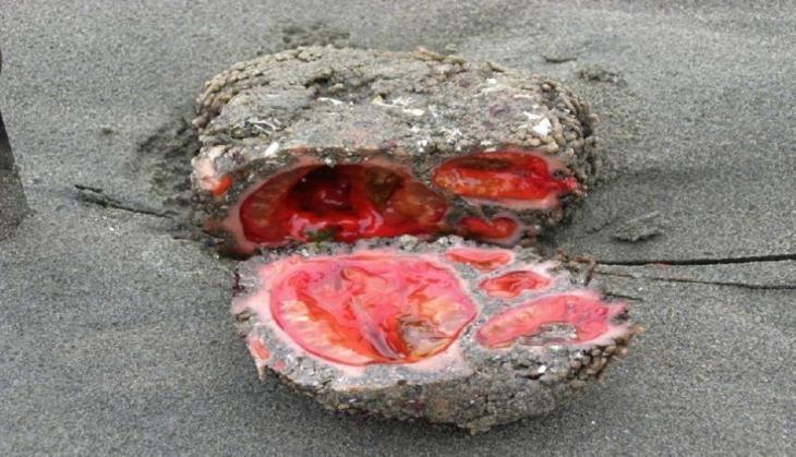 living rock