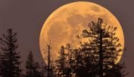 Cold Moon: Last and highest full moon of 2020, all you need to know