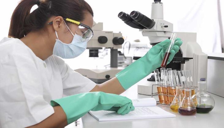 Lab