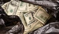 Believe it or not! Family finds $1 million in two bags lying on the road; know what happens next