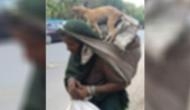 It's Viral! This image of migrant woman carrying dog on her back leaves netizens teary-eyed!