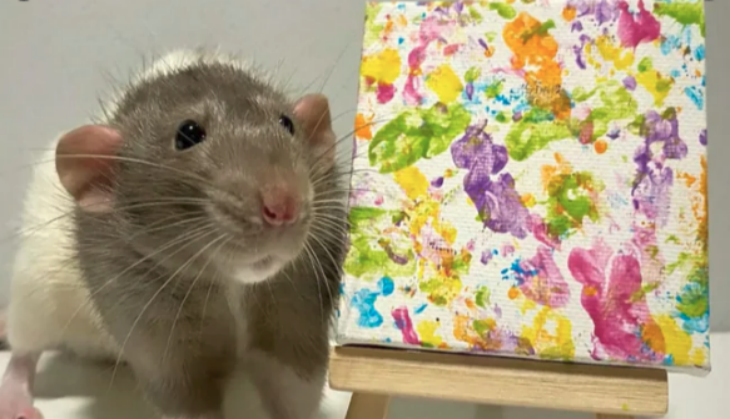 Rat Made Painting