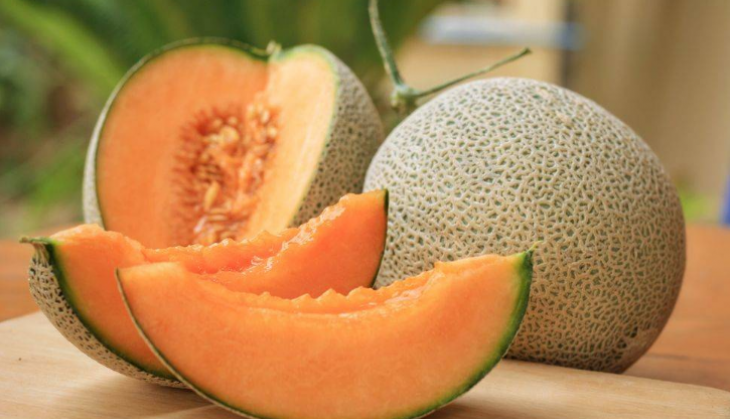 muskmelon