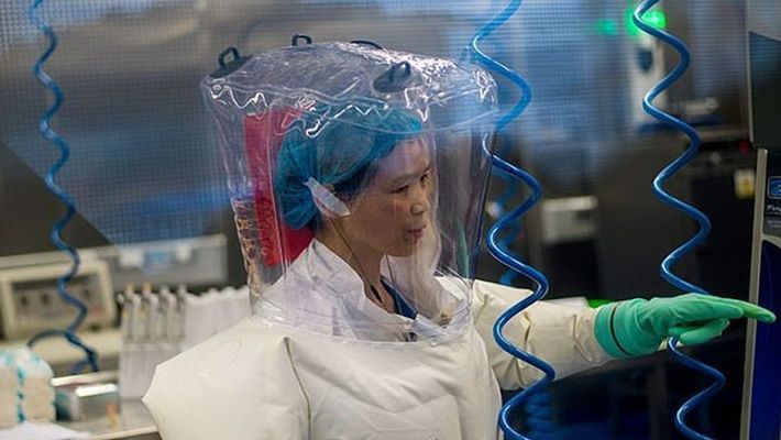 Coronavirus is just tip of the iceberg, says China's 'Bat Woman'