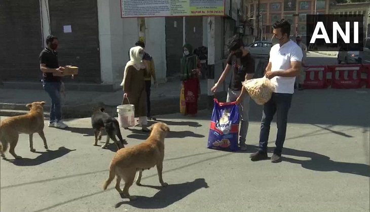 Lockdown 4.0: NGOs join hands to feed stray dogs in Kashmir Valley amid lockdown