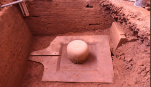 Believe it or not! 9th century Shiv Linga unearth by ASI in Vietnam