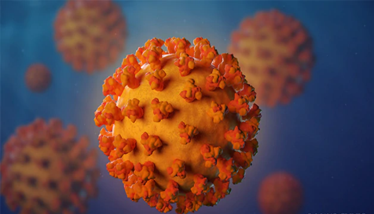 COVID-19 Delta variant detected in 96 countries, says WHO