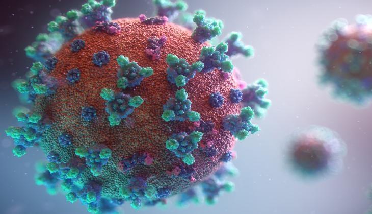 SARS-CoV-2 has been circulating unnoticed in bats for decades