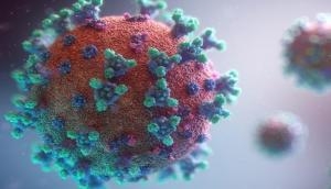 COVID-19 virus can cause blood-brain barrier, says new study