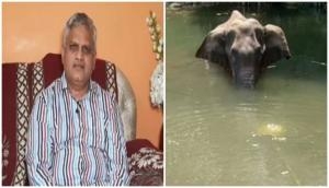 Hyderabad man announces Rs 2 lakh reward for those assisting in finding Kerala elephant's killer