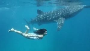 On World Ocean Day, Katrina Kaif has throwback video with whale shark