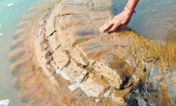 Odisha: Ancient temple believed to be 500 years old resurfaces in Nayagarh district