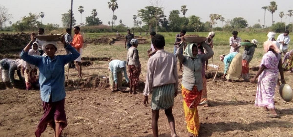 Migrant labourers who returned to UP find work under MNREGA