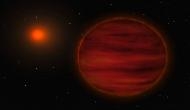 Two bizarre brown dwarfs found with citizen scientists' help