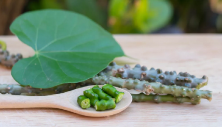 health benefits of giloy
