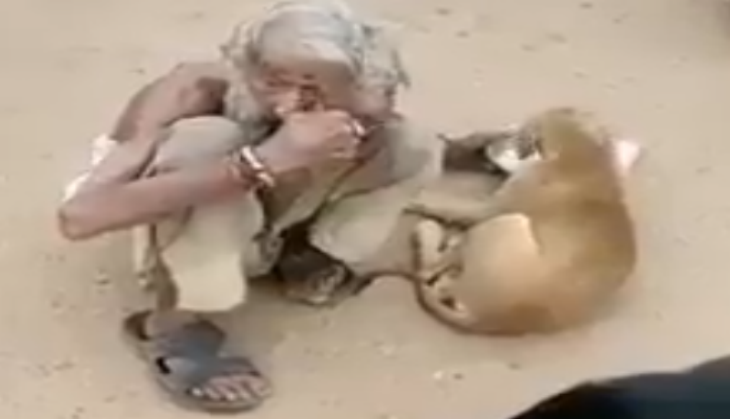 Viral Video