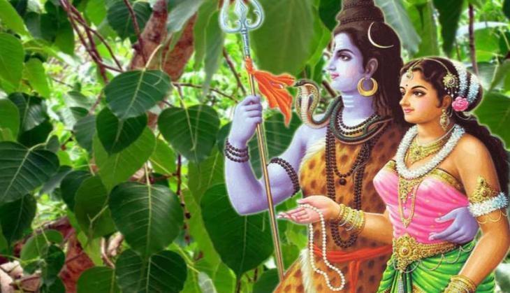 Hariyali Teej