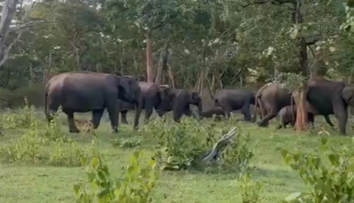 viral video