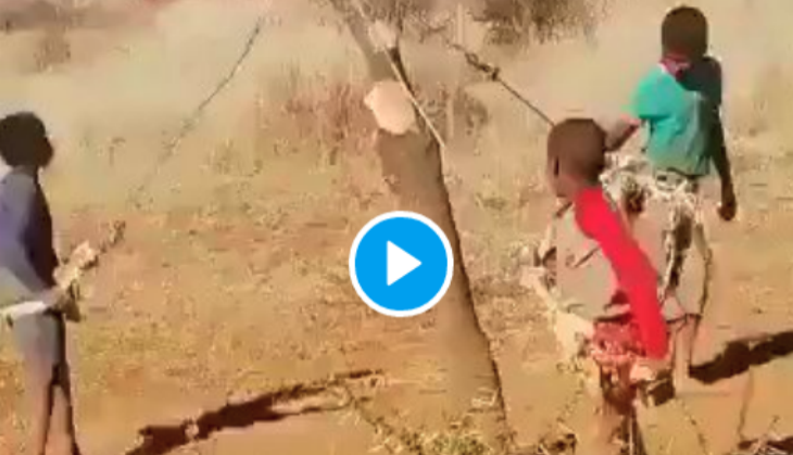 Video: The kids made such a swing with Makeshift, IAS was stunned to see