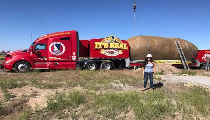 potato hotel