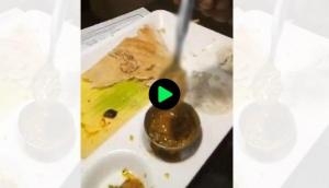 OMG! Man finds lizard in food in Delhi’s restaurant; know what happens next