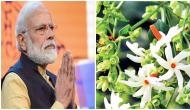 Ram Mandir Bhumi Pujan: Ahead of ceremony PM Modi to plant 'Parijaat' sapling