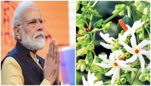 Ram Mandir Bhumi Pujan: Ahead of ceremony PM Modi to plant 'Parijaat' sapling